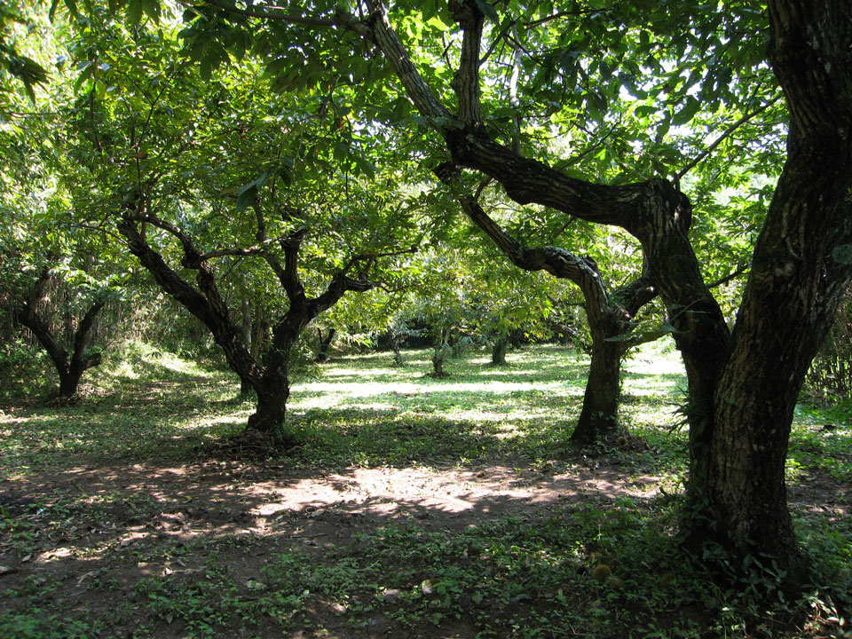 3中＿草取り後２_2