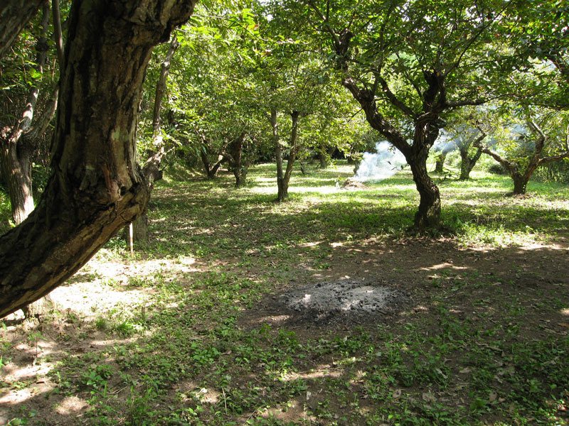 中の畑＿イガ焼き2_2