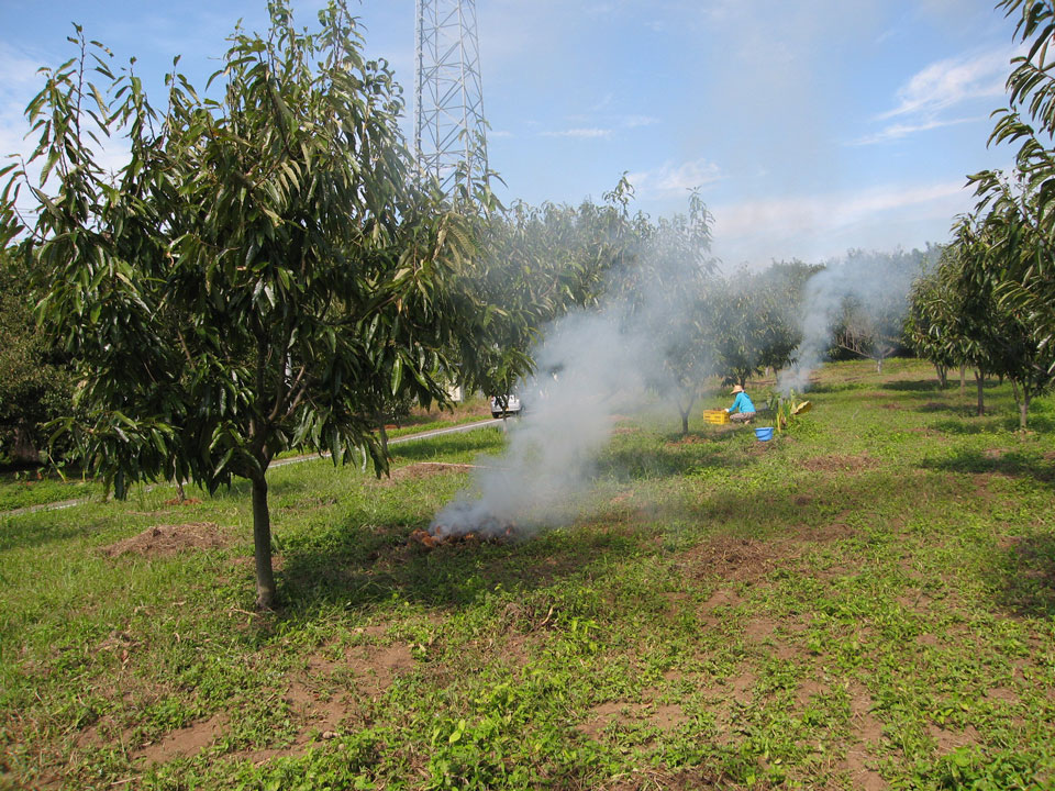 上の畑＿イガ焼き１_2