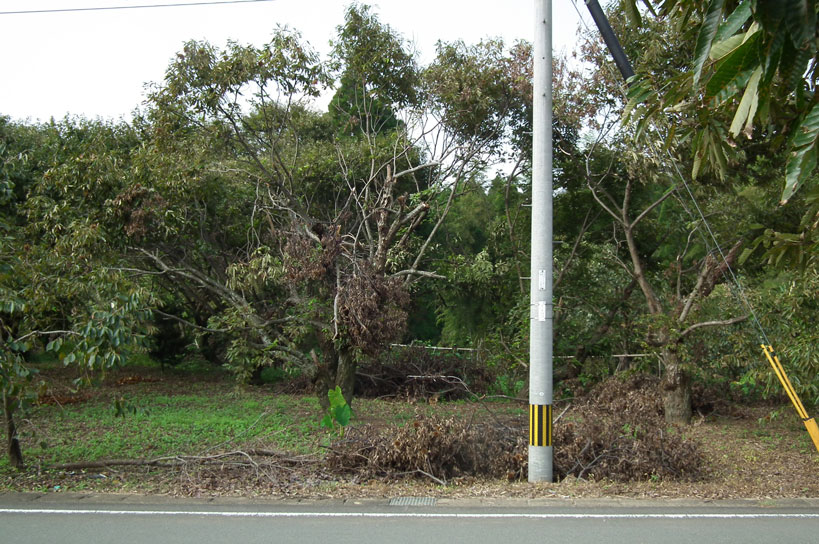 2015向かい側畑被害_2